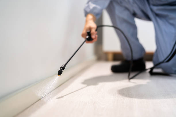 Professional exterminator conducting IPM assessment in Blue Mound