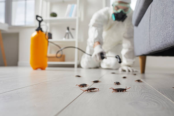 Commercial Rodent Management in Blue Mound